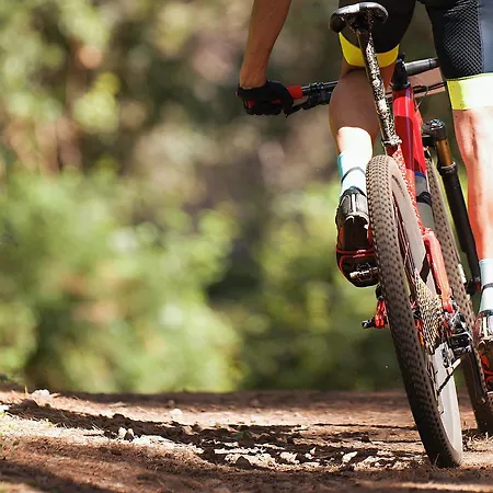 Couette-café Le Acacie