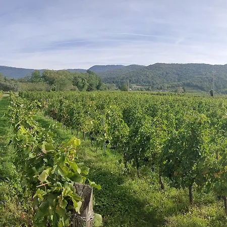 Le Acacie 4* Torreano