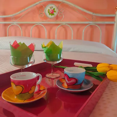 Couette-café Le Acacie Torreano